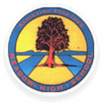 Meadow High School logo